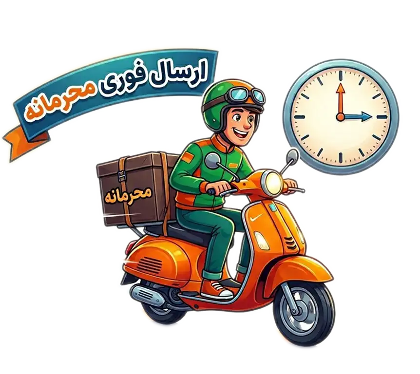 تحویل سریع 2 ساعته در تهران! بدون درج نام فروشگاه و محتویات روی بسته (فروشگه اینترنتی شب تو)
